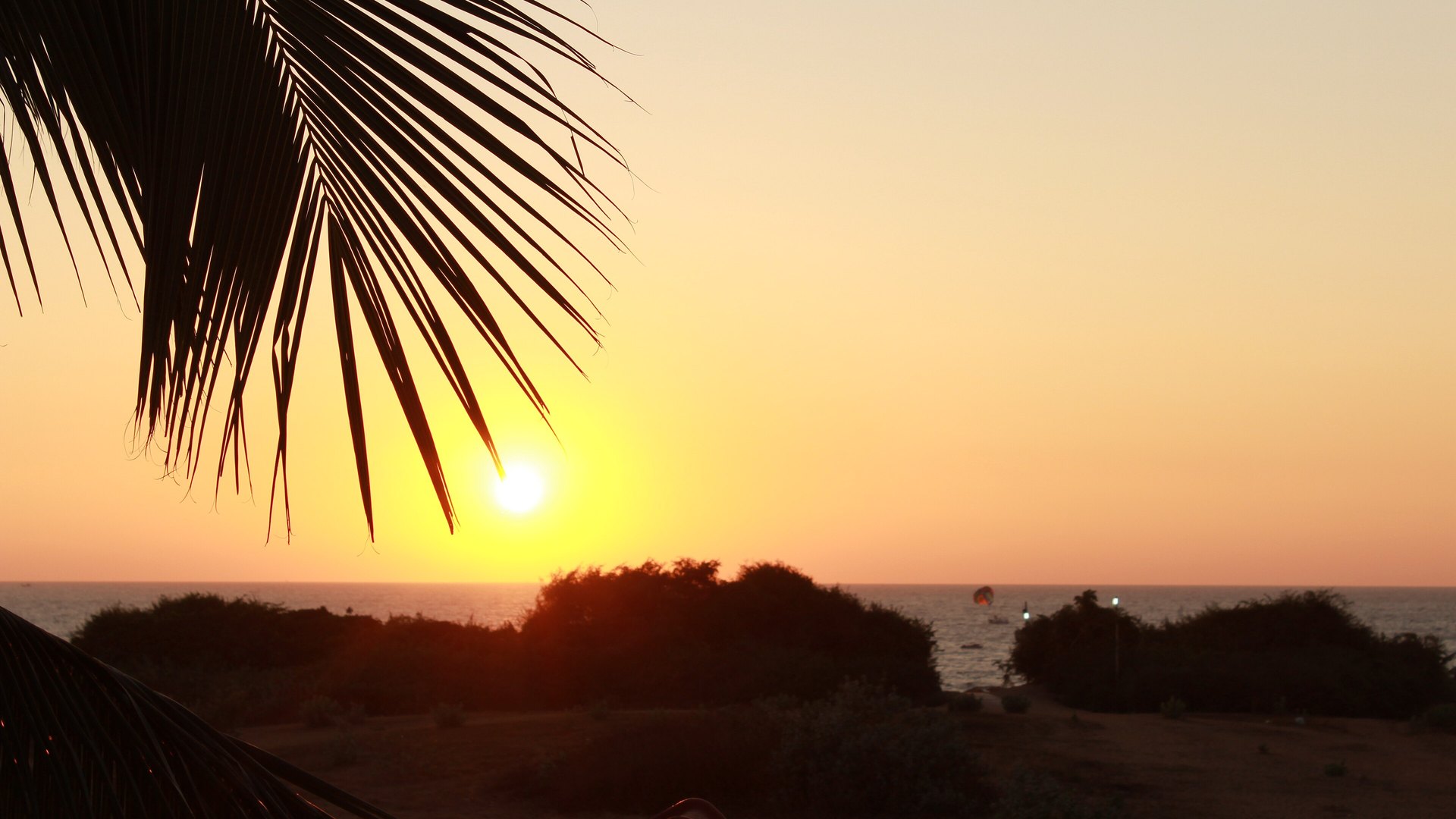 Goa palm beach at sunset