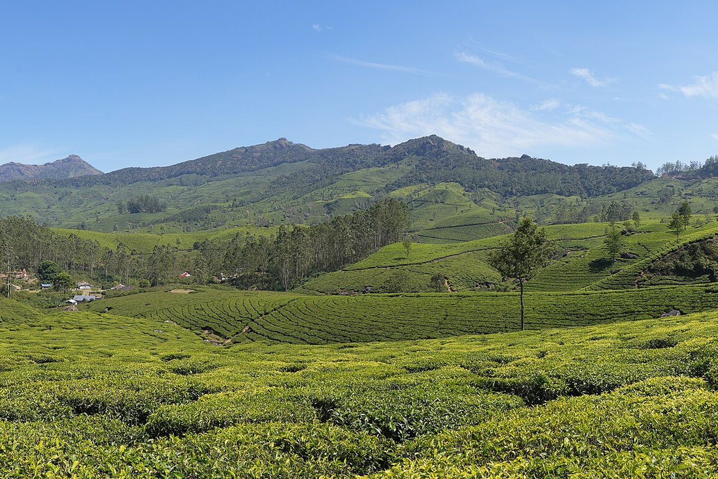 Kerala