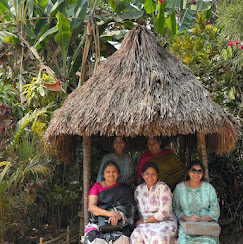 Ladies enjoying a garden hut on tour