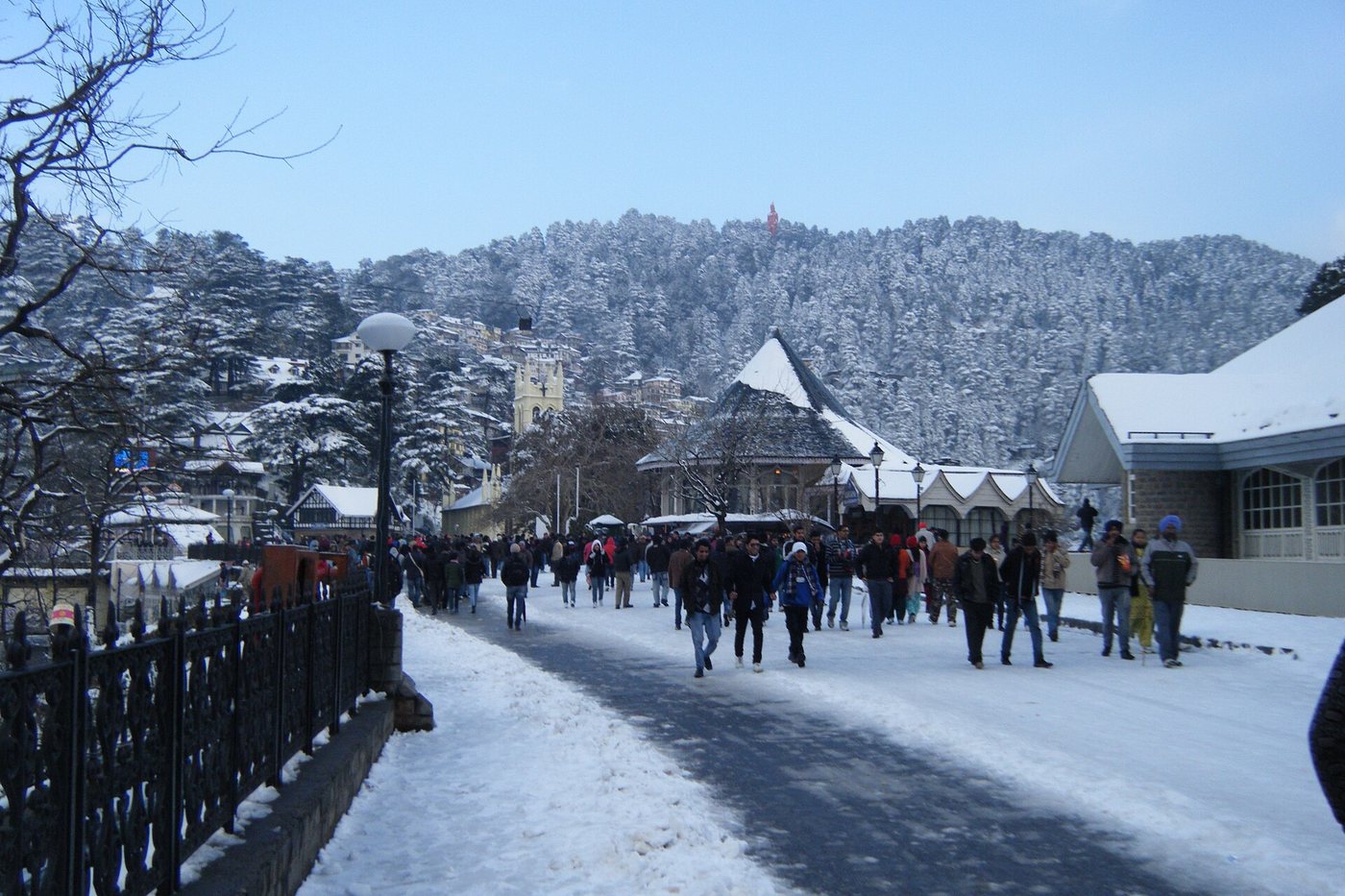 Shimla